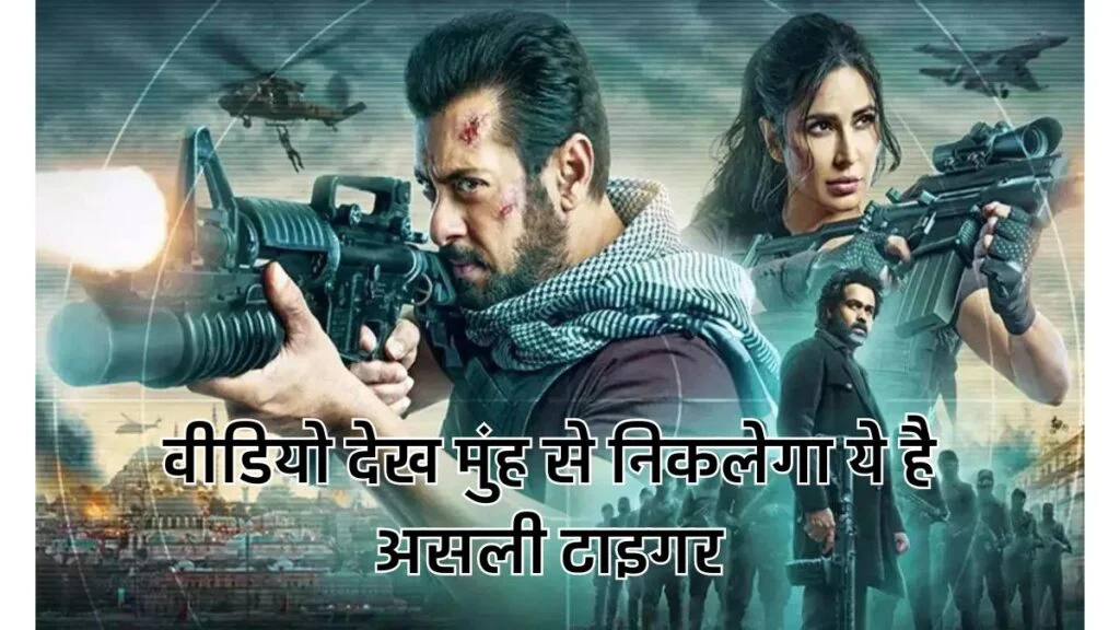 Tiger 3 का ये वीडियो देख मुंह से निकलेगा ये है असली टाइगर