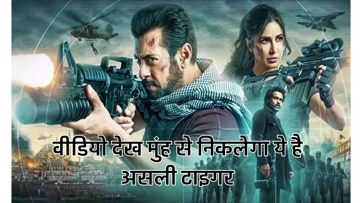 Tiger 3 का ये वीडियो देख मुंह से निकलेगा ये है असली टाइगर